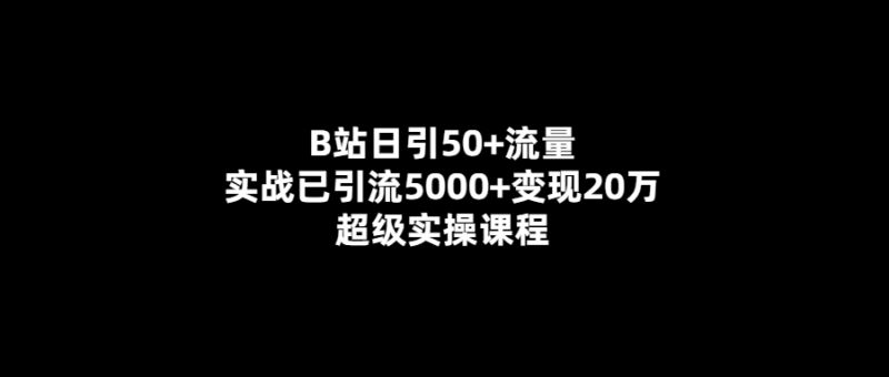 B站日引50+流量-實戰引流5000+變現20萬的超級課程！-愛分享導航