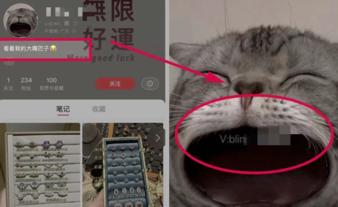 圖片[1]-頭像植入-小紅書聯(lián)系方式引流新玩法